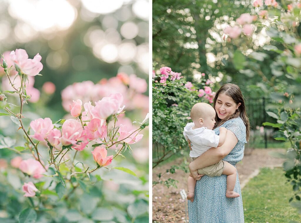 Mother and child in the Brookdale Rose Garden by Montclair, NJ photographer, Christina Claire Photography